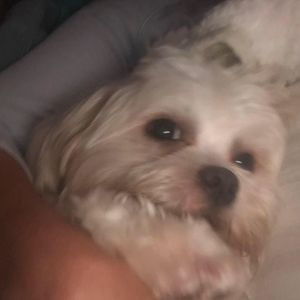 Meet your Posher, Sonya